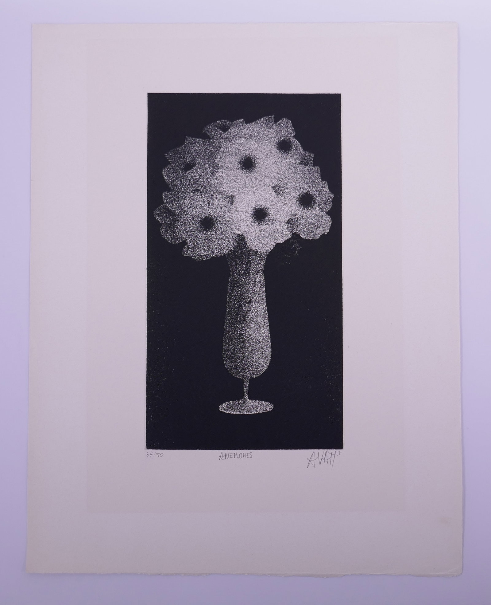Mario Avati (French, 1921–2009), Anémones, 1977 Mezzotint: Mario Avati (French, born Monaco, 1921–2009) was a painter and printmaker active in Paris and best known for his mastery of mezzotint, a demanding intaglio process highlighting shape and light. Avat