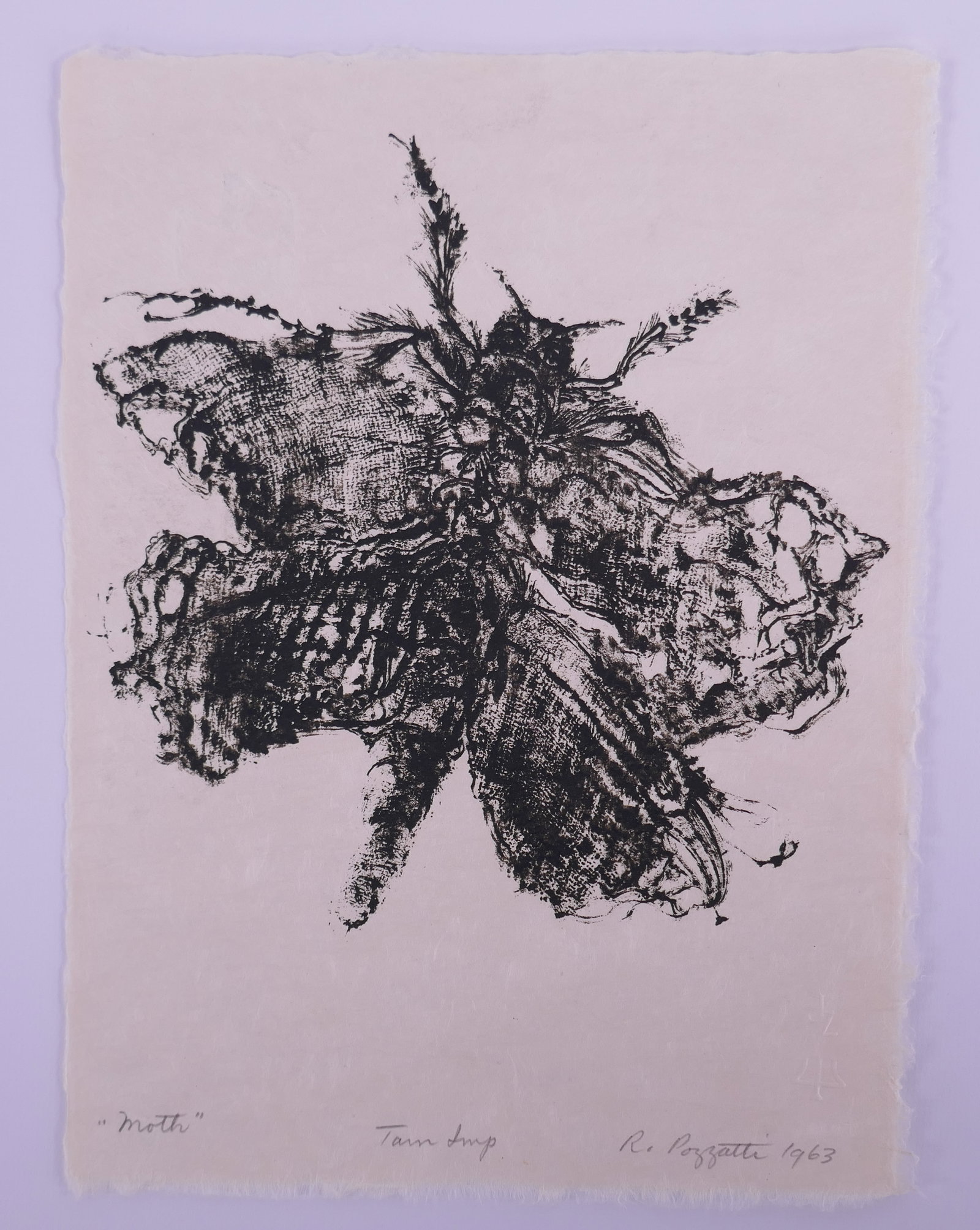 Rudy Pozzatti (American, 1925–2021), Moth from Bugs, 1963 Lithograph: Rudy Pozzatti (American, 1925–2021) was a painter, printmaker, and educator who developed Indiana University’s printmaking program into one of the leading programs in the United States. His prints