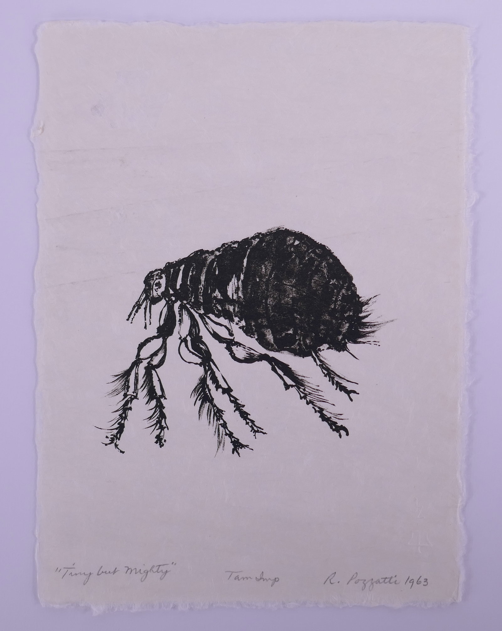 Rudy Pozzatti (American, 1925–2021), Tiny but Mighty from Bugs, 1963 Lithograph (1 of 20)