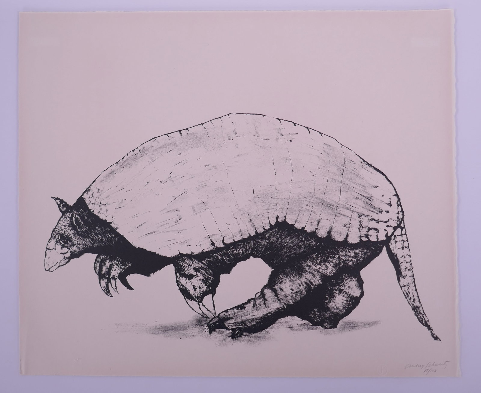 Aubrey Schwartz (American, 1928–2019), Armadillo, from A Bestiary, 1962 Lithograph (1 of 20)