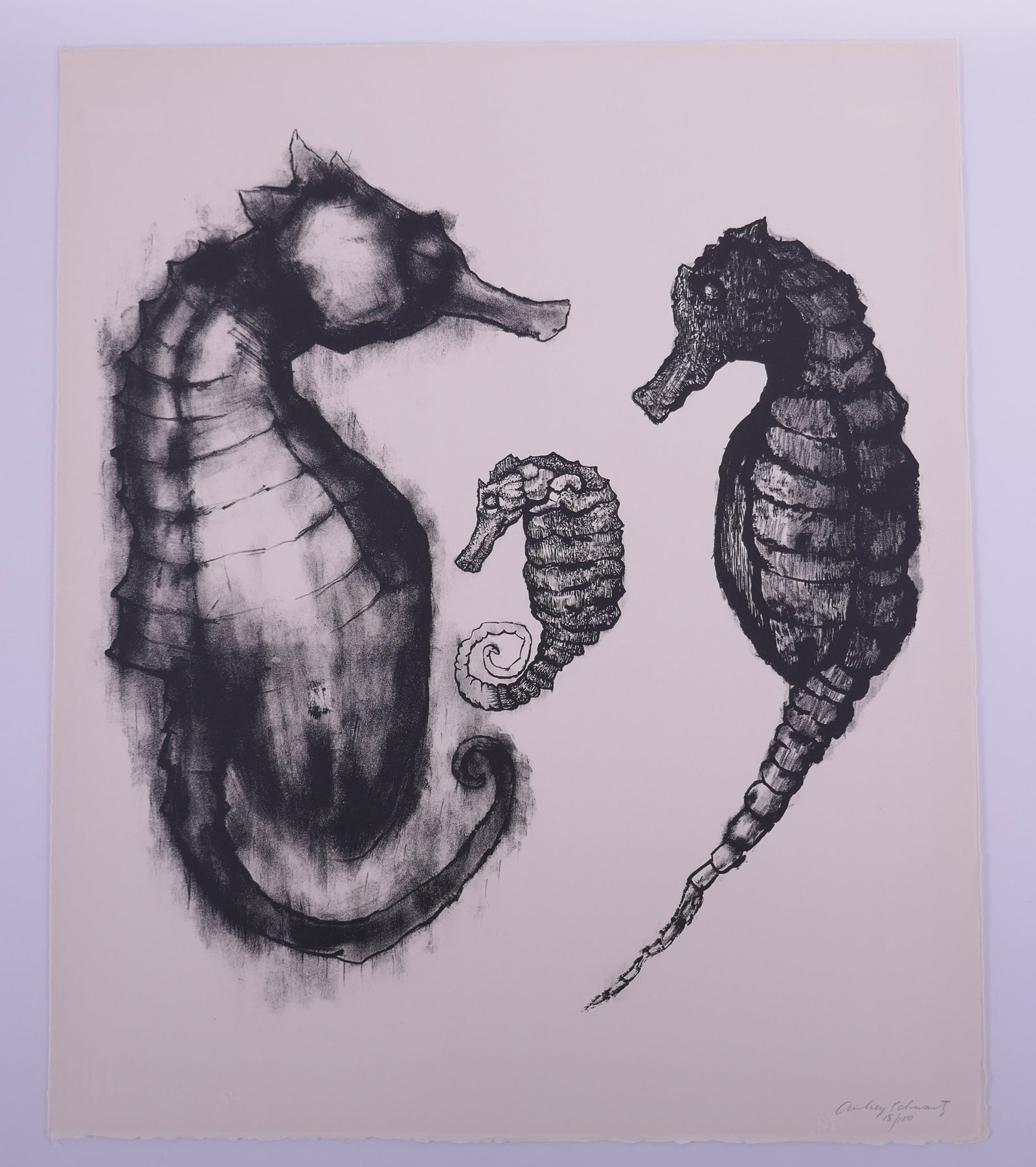 Aubrey Schwartz (American, 1928–2019), Three Sea Horses, from A Bestiary, 1962 Lithograph: Aubrey Schwartz (American, 1928–2019) was a New York printmaker known for lithographs, etchings, and engravings ranging from expressive figure studies to animal subjects. His prints often use close 