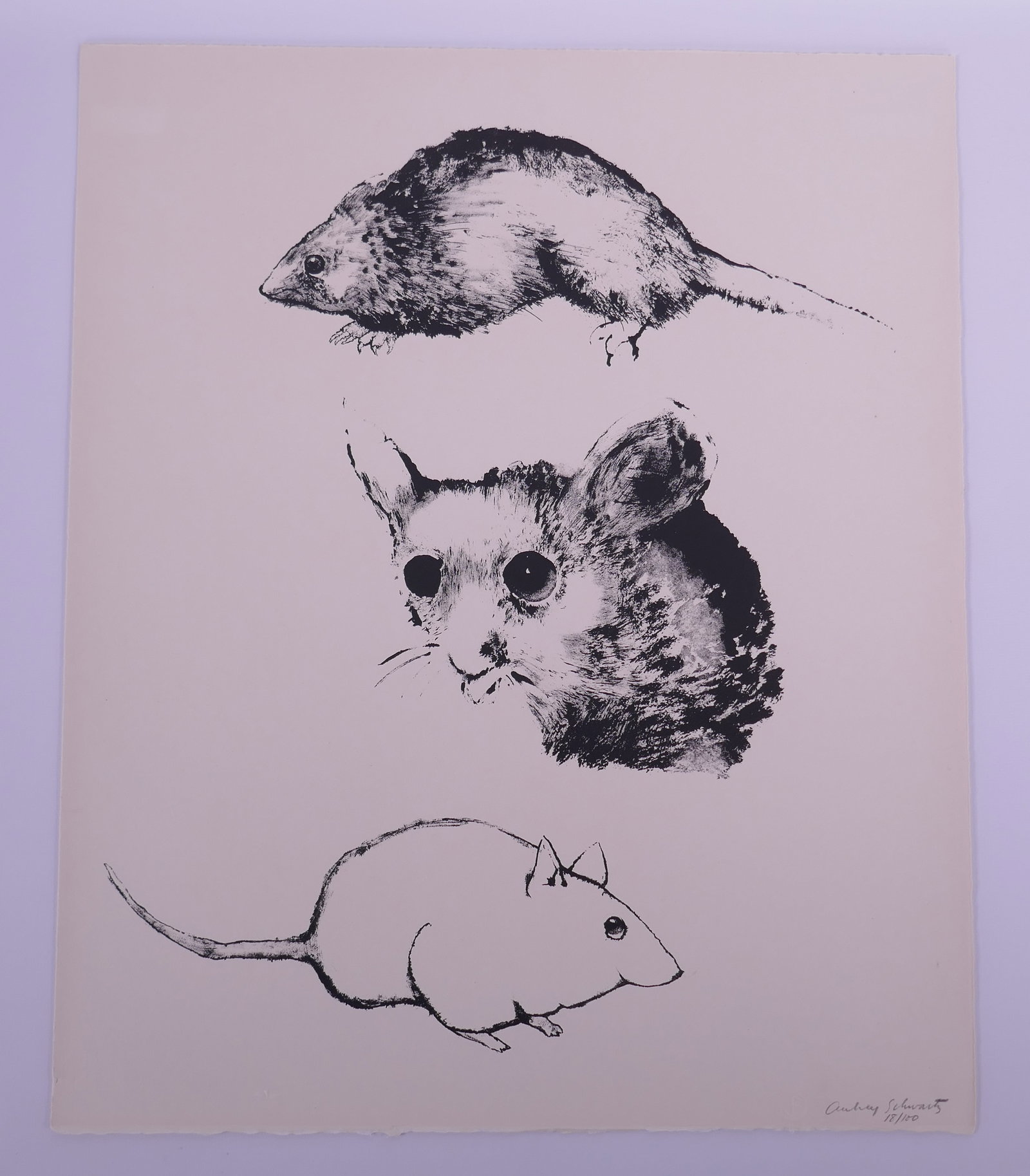 Aubrey Schwartz (American, 1928–2019), Three Mice, from A Bestiary, 1962 Lithograph (1 of 20)