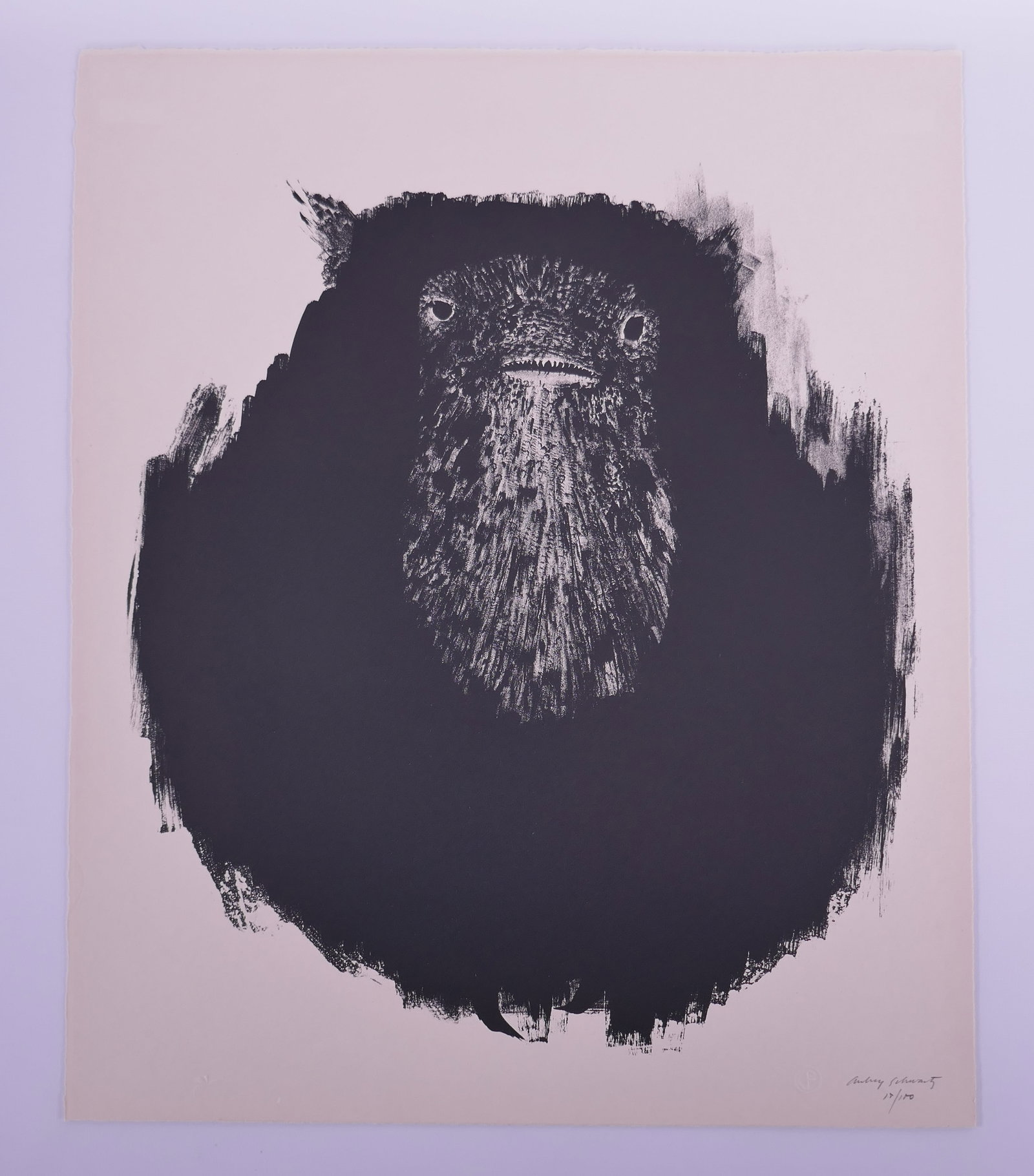 Aubrey Schwartz (American, 1928–2019), Animal Face, from A Bestiary, 1962 Lithograph: Aubrey Schwartz (American, 1928–2019) was a New York printmaker known for lithographs, etchings, and engravings ranging from expressive figure studies to animal subjects. His prints often use close 