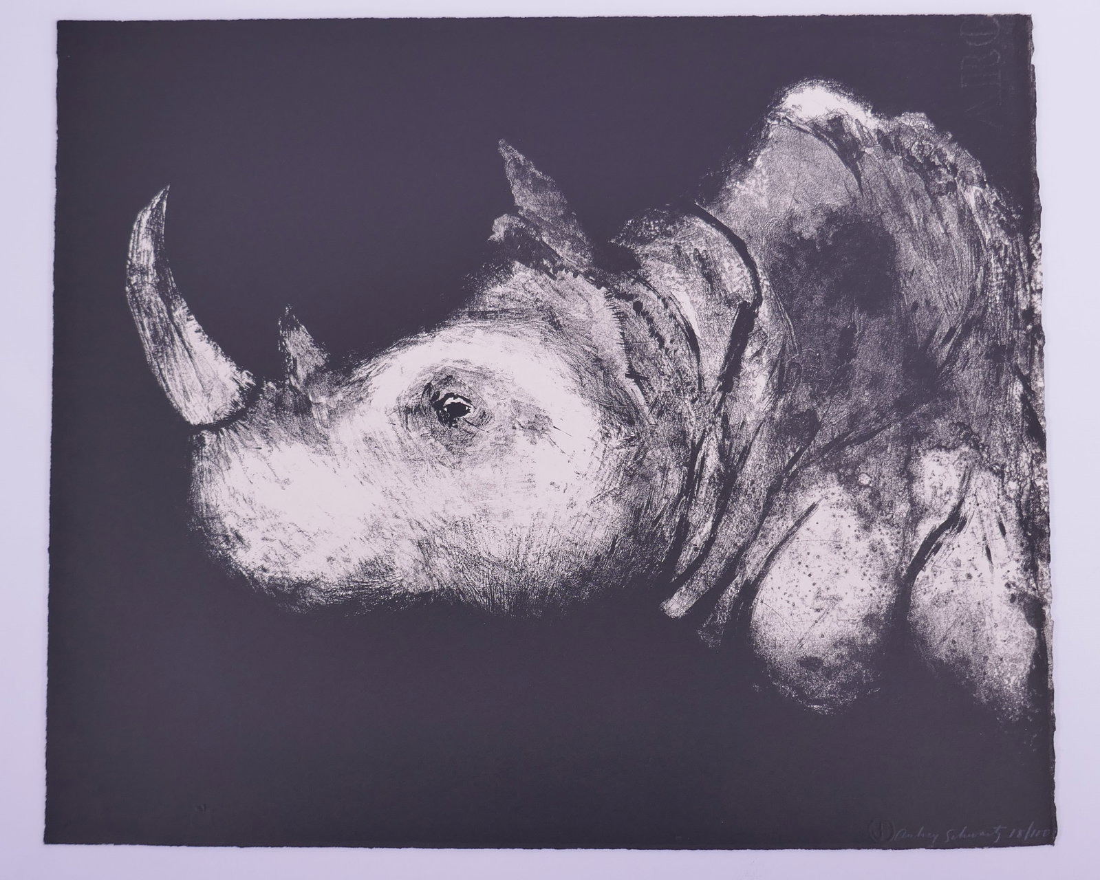 Aubrey Schwartz (American, 1928–2019), Rhinoceros, from A Bestiary, 1962 Lithograph: Aubrey Schwartz (American, 1928–2019) was a New York printmaker known for lithographs, etchings, and engravings ranging from expressive figure studies to animal subjects. His prints often use close 