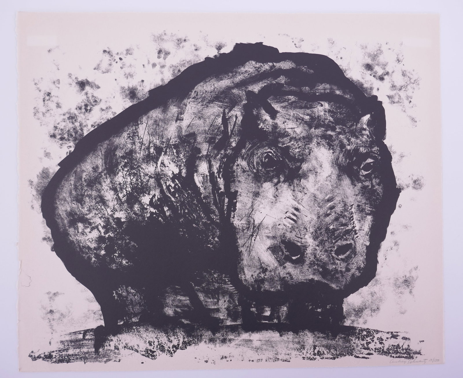 Aubrey Schwartz (American, 1928–2019), Hippopotamus, from A Bestiary, 1962 Lithograph: Aubrey Schwartz (American, 1928–2019) was a New York printmaker known for lithographs, etchings, and engravings ranging from expressive figure studies to animal subjects. His prints often use close 