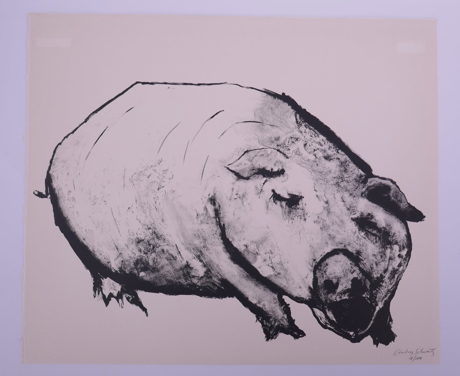 Aubrey Schwartz (American, 1928–2019), Pig, from A Bestiary, 1962 Lithograph: Aubrey Schwartz (American, 1928–2019) was a New York printmaker known for lithographs, etchings, and engravings ranging from expressive figure studies to animal subjects. His prints often use close 