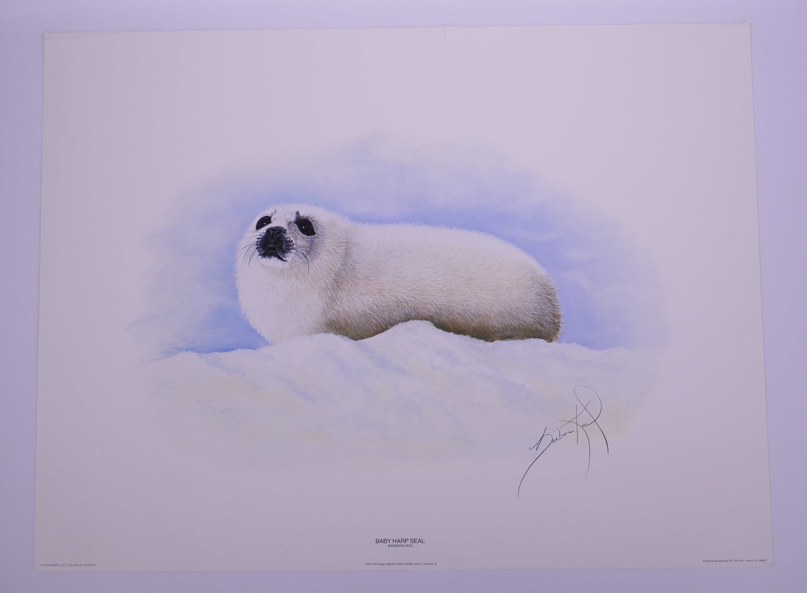 Barbara Keel (American), Baby Harp Seal, Color Offset Lithograph: Barbara Keel is an American wildlife artist associated with Auburn, Alabama, whose work centers on closely observed animal subjects. Active for more than six decades, she became the first woman to des
