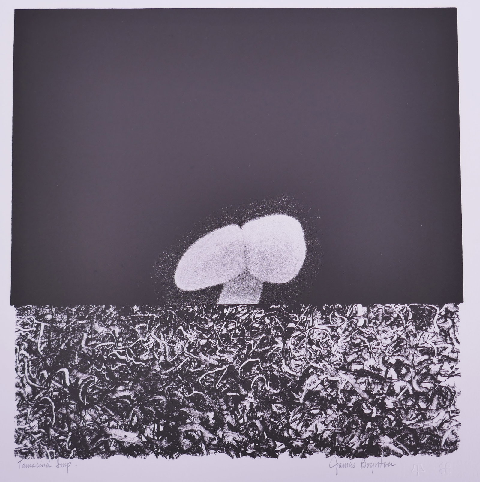 James Boynton (American, 1928–2010), Adam from Packaged Horizon II, 1967 Lithograph (1 of 20)