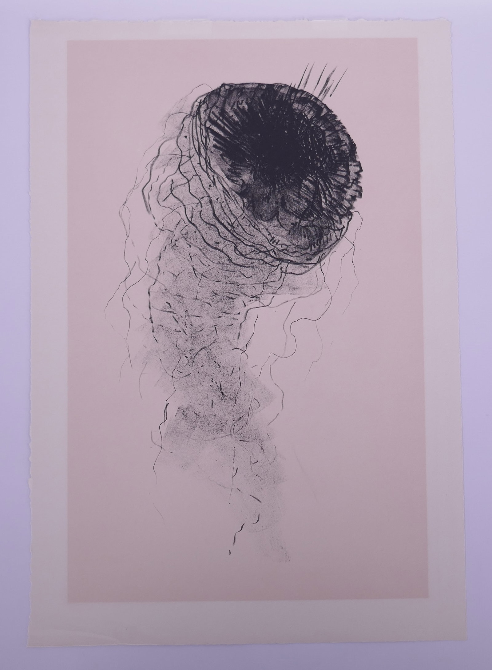 Bruce Conner (American, 1933–2008), Jelly Fish, 1965 Lithograph (1 of 20)