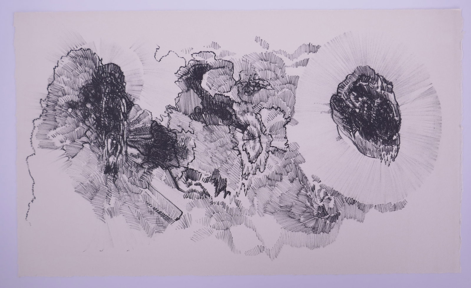 Bruce Conner (American, 1933–2008), Untitled, 1965 Lithograph (1 of 20)
