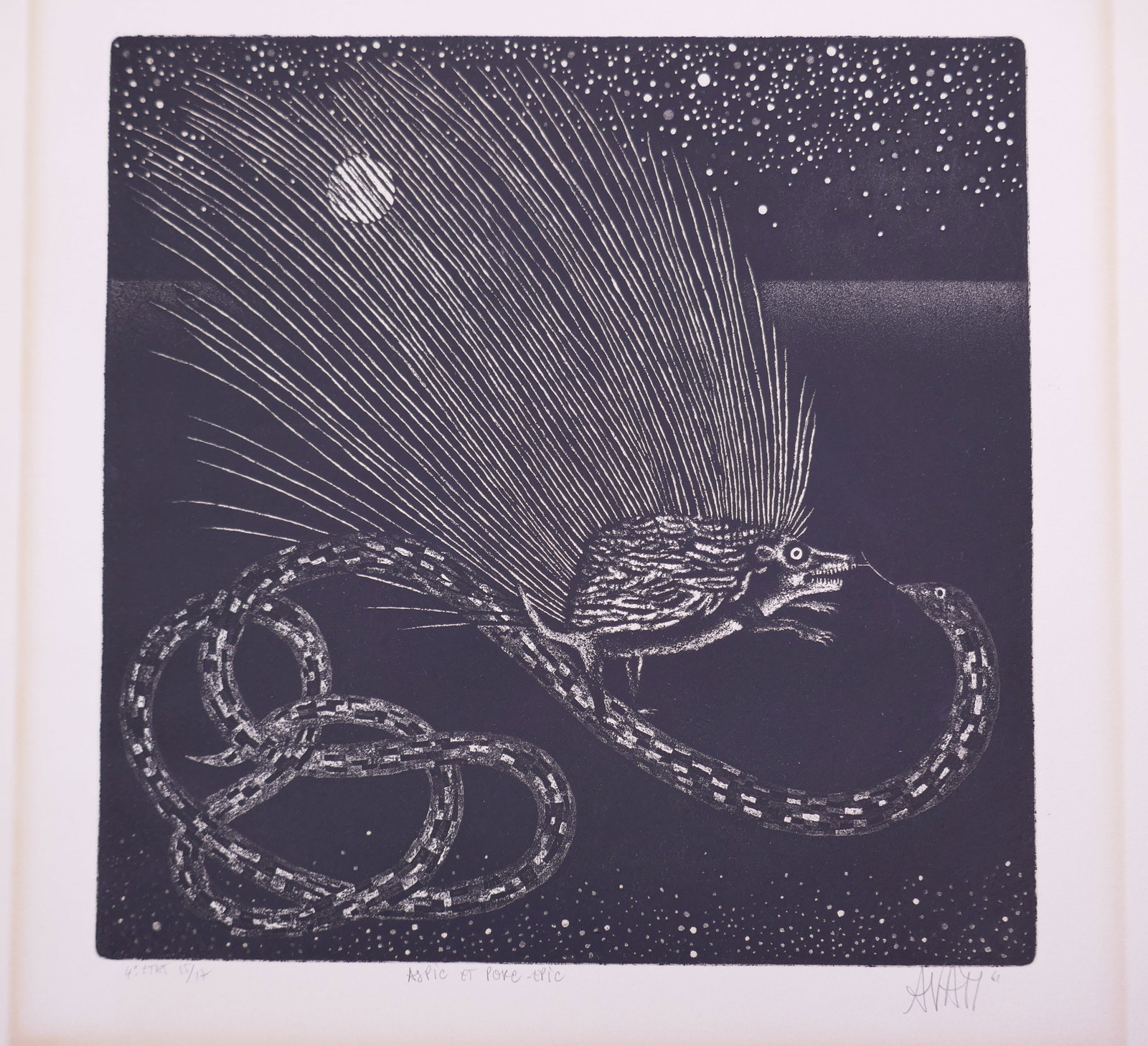 Mario Avati (French, 1921–2009), Aspic et porc-épic, 1961 Aquatint: Mario Avati (French, born Monaco, 1921–2009) was a painter and printmaker active in Paris and best known for his mastery of mezzotint, a demanding intaglio process highlighting shape and light. Avat
