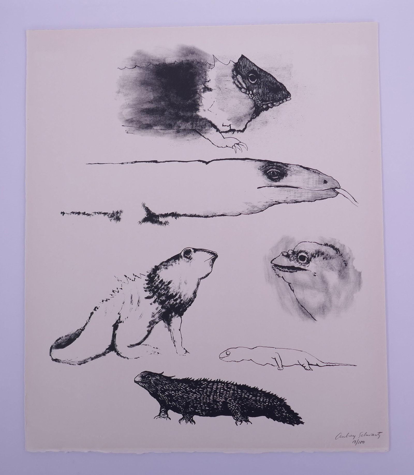 Aubrey Schwartz (American, 1928–2019), Lizards and Snakes, from A Bestiary, 1962 Lithograph: Aubrey Schwartz (American, 1928–2019) was a New York printmaker known for lithographs, etchings, and engravings ranging from expressive figure studies to animal subjects. His prints often use close 