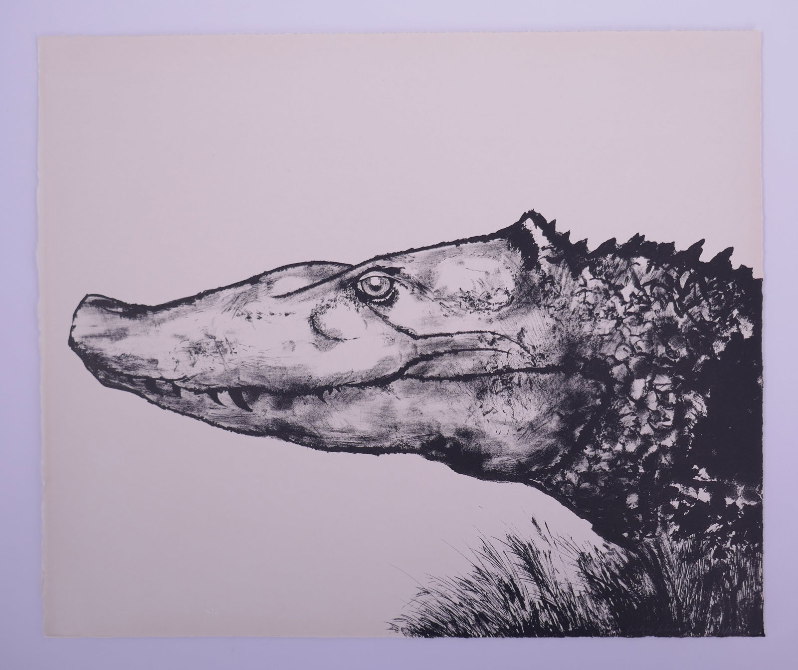 Aubrey Schwartz (American, 1928–2019), Crocodile, from A Bestiary, 1962 Lithograph: Aubrey Schwartz (American, 1928–2019) was a New York printmaker known for lithographs, etchings, and engravings ranging from expressive figure studies to animal subjects. His prints often use close 