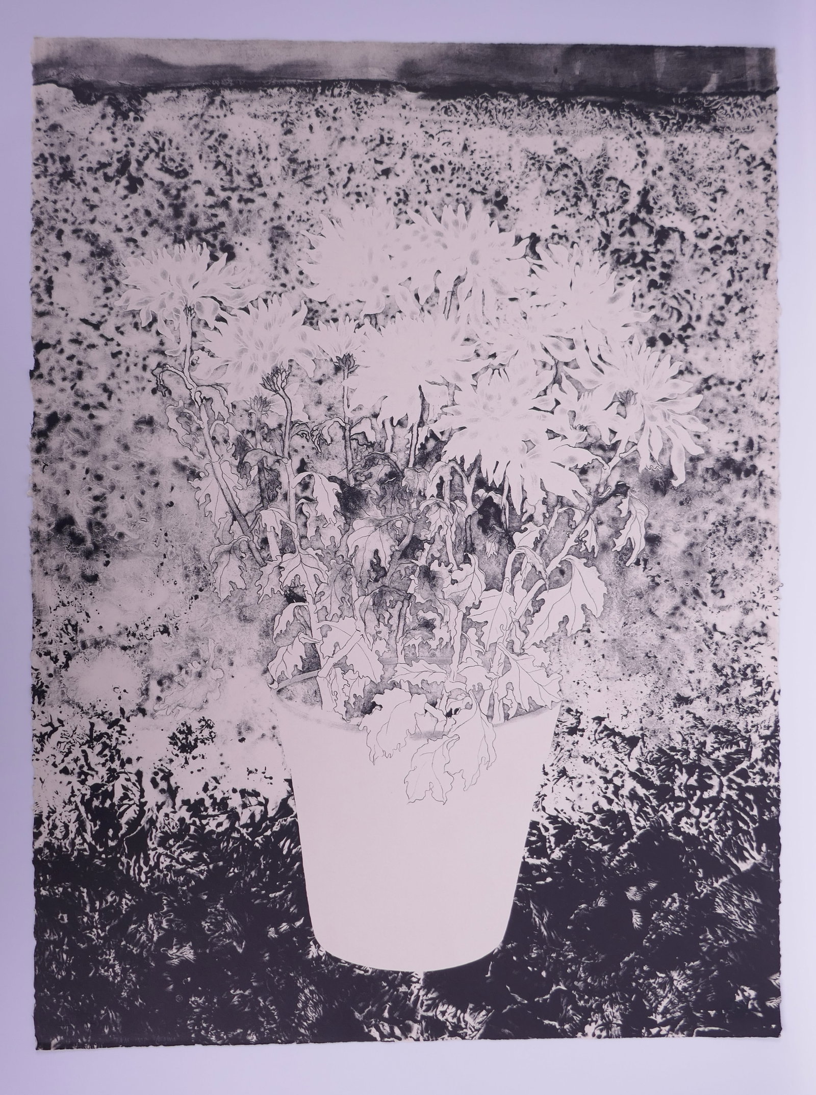 Ruth Asawa (American, 1926–2013), Chrysanthemums, 1965 Lithograph (1 of 20)