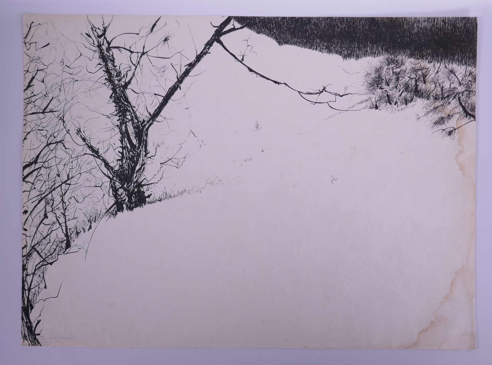 Peter Takal (American, 1905–1995), Snow Fields, from Of Nature, Of Man XIX, 1963-1964 Lithograph: Peter Takal (1905-1995) was a Romanian-born American draftsman and printmaker known for highly detailed pen-and-ink drawings and lithographs. After living in Berlin and Paris, he settled in New York d