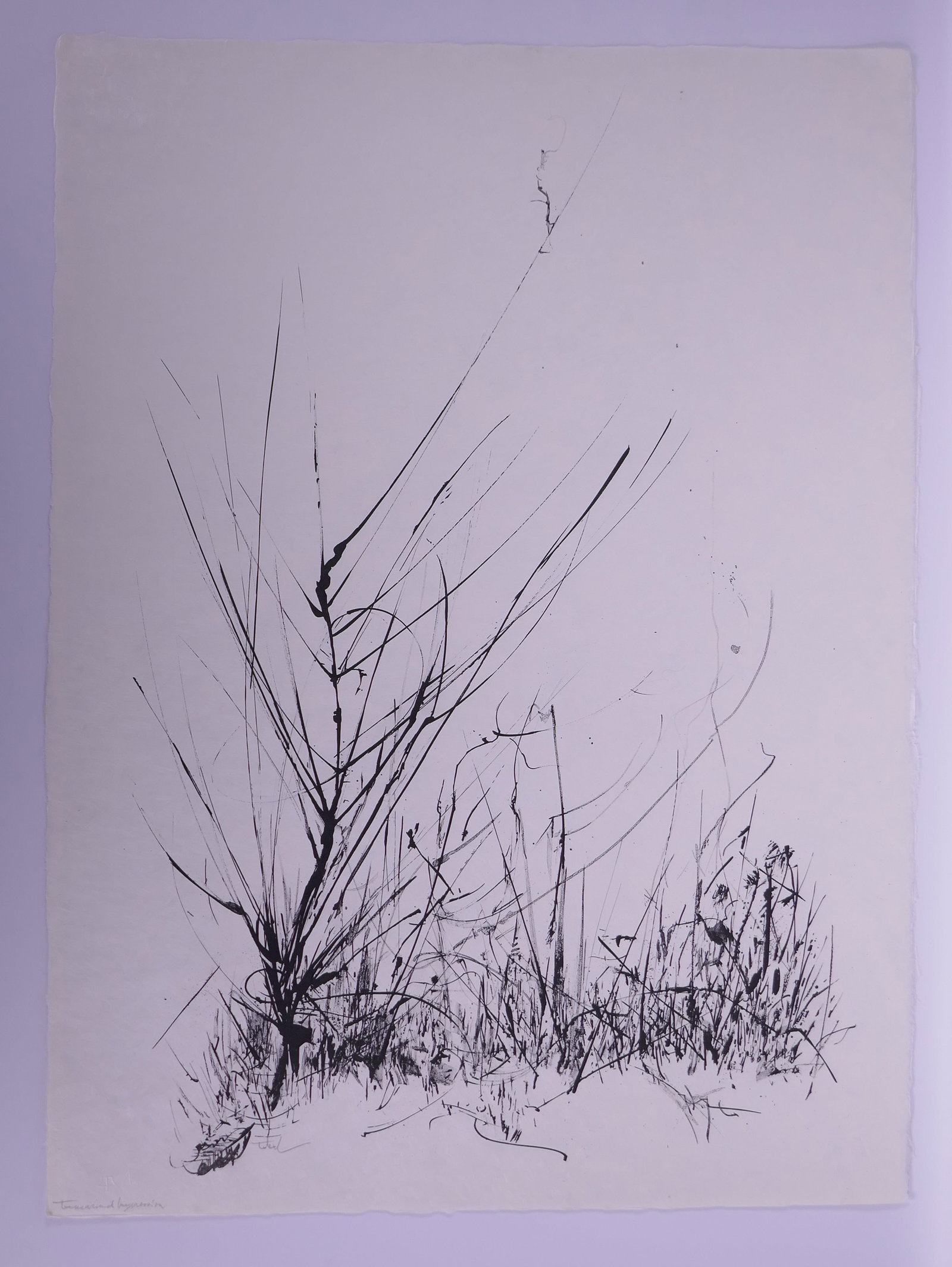 Peter Takal (American, 1905–1995), Winter Weeds, from Of Nature, Of Man XI, 1963–1964 Lithograph (1 of 18)