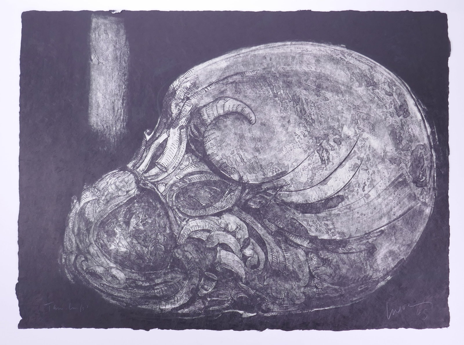 José Luis Cuevas (Mexican, 1934–2017), Worm Pit, Charenton XIV, 1965–1966 Lithograph (1 of 20)