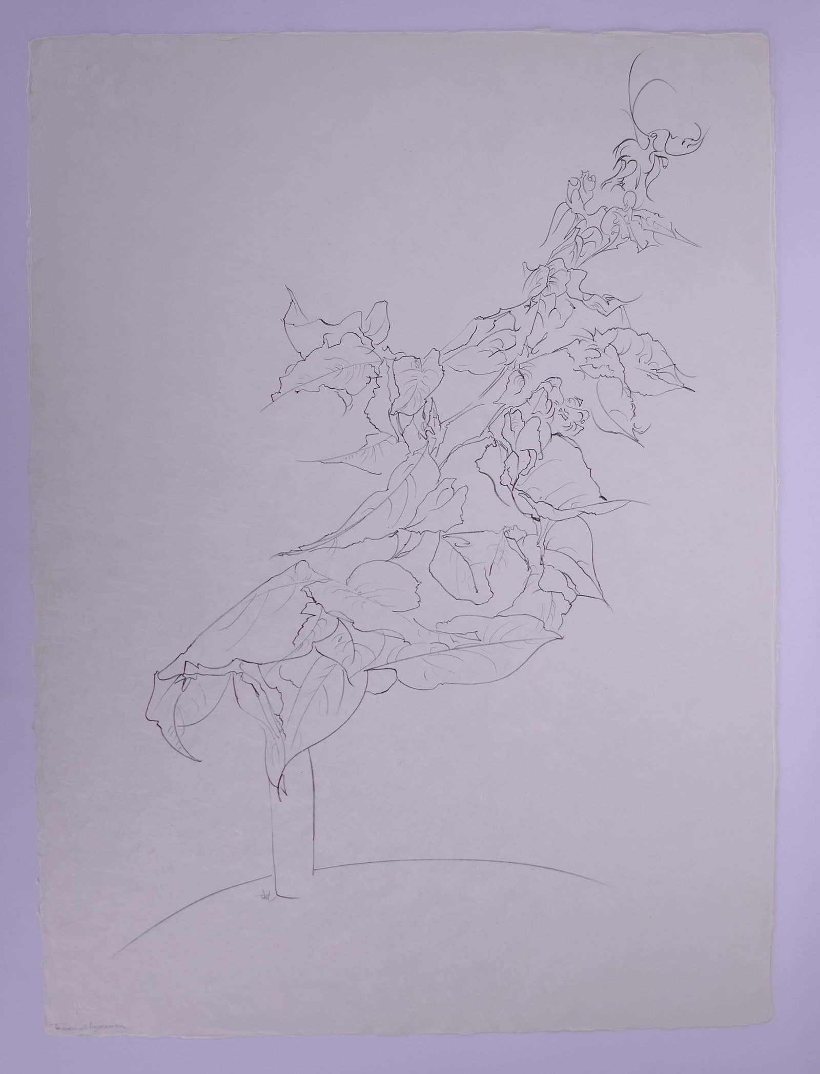 Peter Takal (American, 1905–1995), Bougainvillea, Of Nature, Of Man IX, 1964 Lithograph (1 of 20)