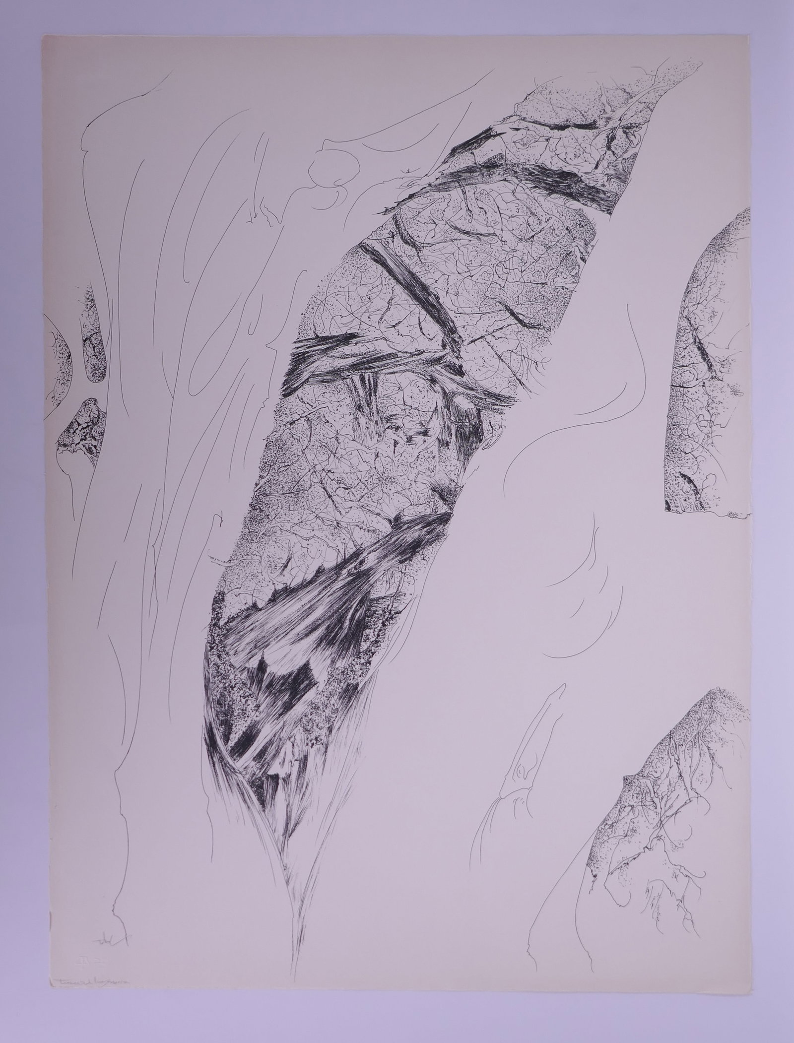 Peter Takal (American, 1905–1995), Tree Opening, Of Nature, Of Man Portfolio 1963–1964 (1 of 20)