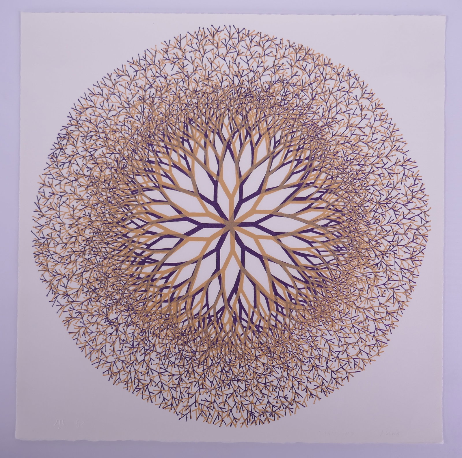 Ruth Asawa (American, 1926–2013), Desert Flower (TAM.1460-II), 1965, Color Lithograph: Ruth Asawa (American, 1926–2013) was a Japanese American sculptor and printmaker who also became an influential advocate for arts education. After her family was forcibly incarcerated during World W