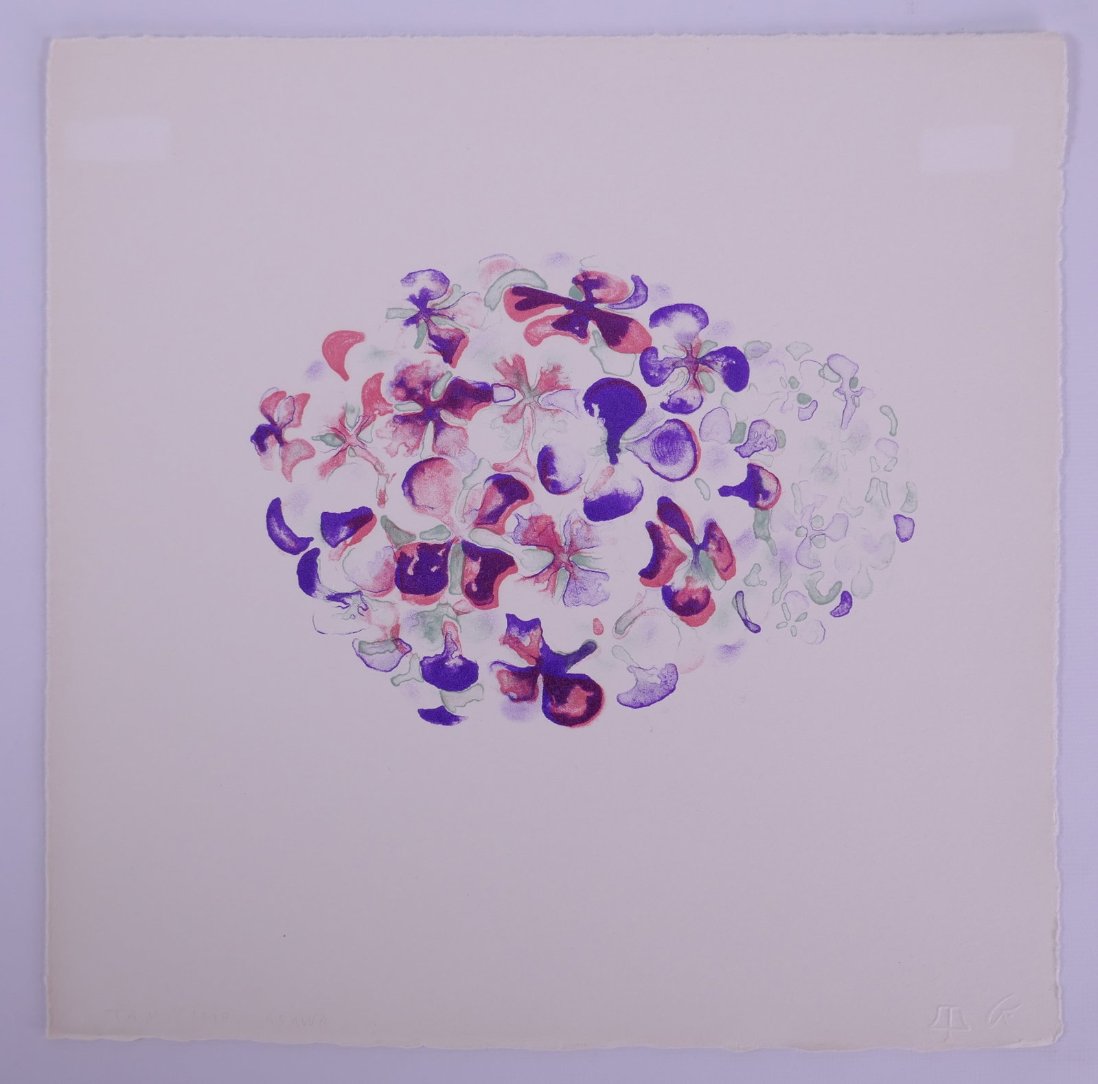 Ruth Asawa (American, 1926–2013), Untitled (Hydrangea) Flowers VII, 1965, Color Lithograph (1 of 20)