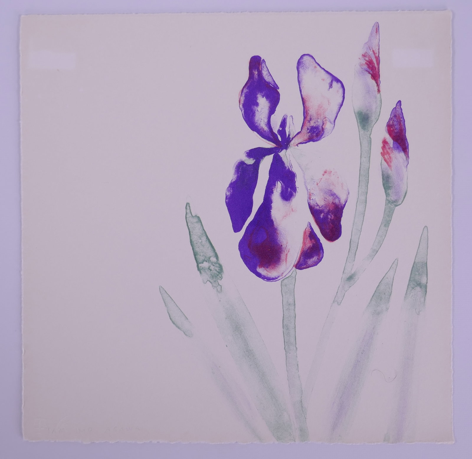 Ruth Asawa (American, 1926–2013), Untitled (Iris), Flowers V, 1965, Color Lithograph (1 of 20)