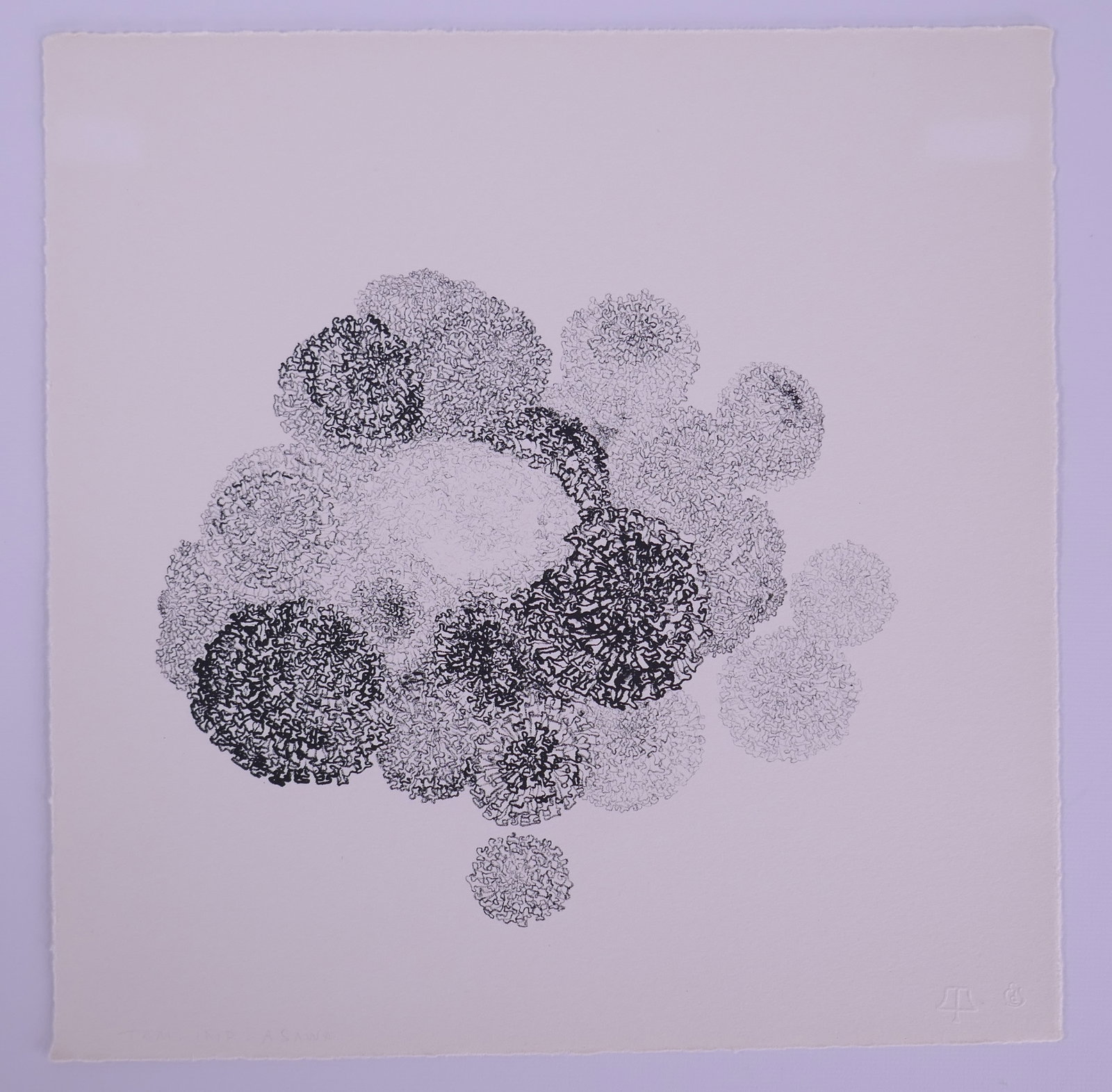 Ruth Asawa (American, 1926–2013), Untitled, (Marigolds) Flowers IV, 1965, Lithograph: Ruth Asawa (American, 1926–2013) was a Japanese American sculptor and printmaker who also became an influential advocate for arts education. After her family was forcibly incarcerated during World W