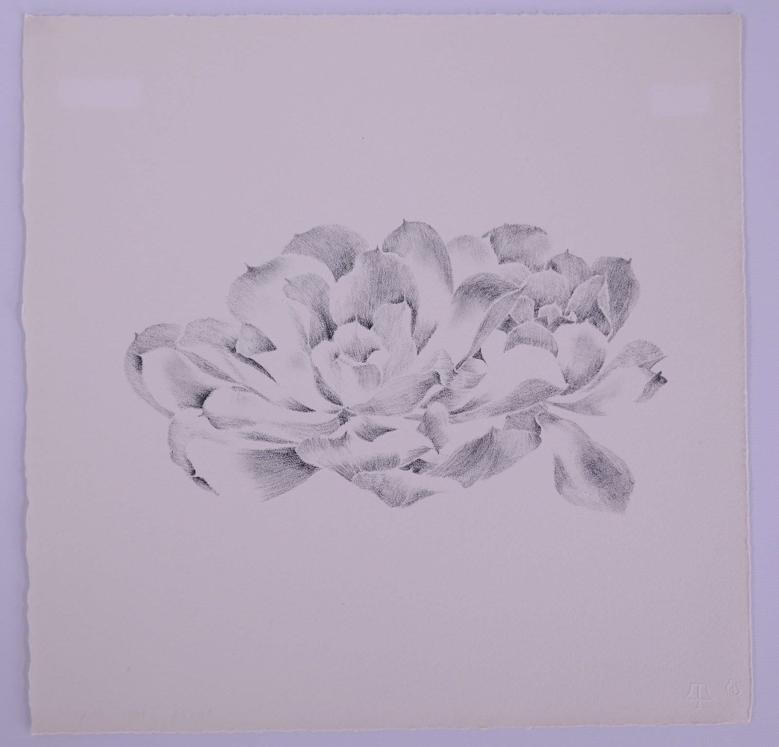 Ruth Asawa (American, 1926–2013) Untitled, Flowers III, 1965, Lithograph: Ruth Asawa (American, 1926–2013) was a Japanese American sculptor and printmaker who also became an influential advocate for arts education. After her family was forcibly incarcerated during World W