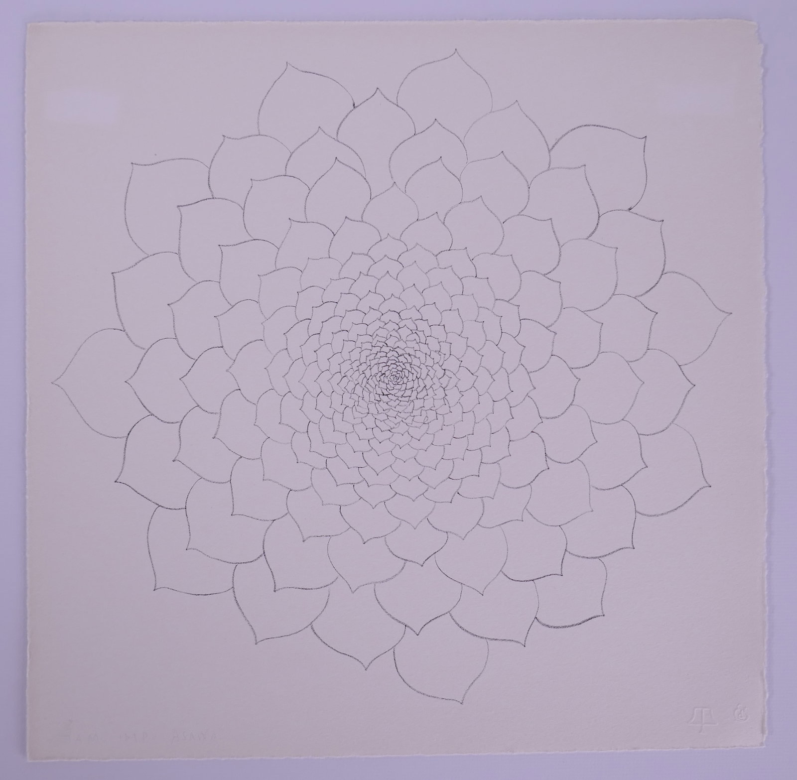 Ruth Asawa (American, 1926–2013), Untitled, Flowers II, 1965, Lithograph (1 of 20)