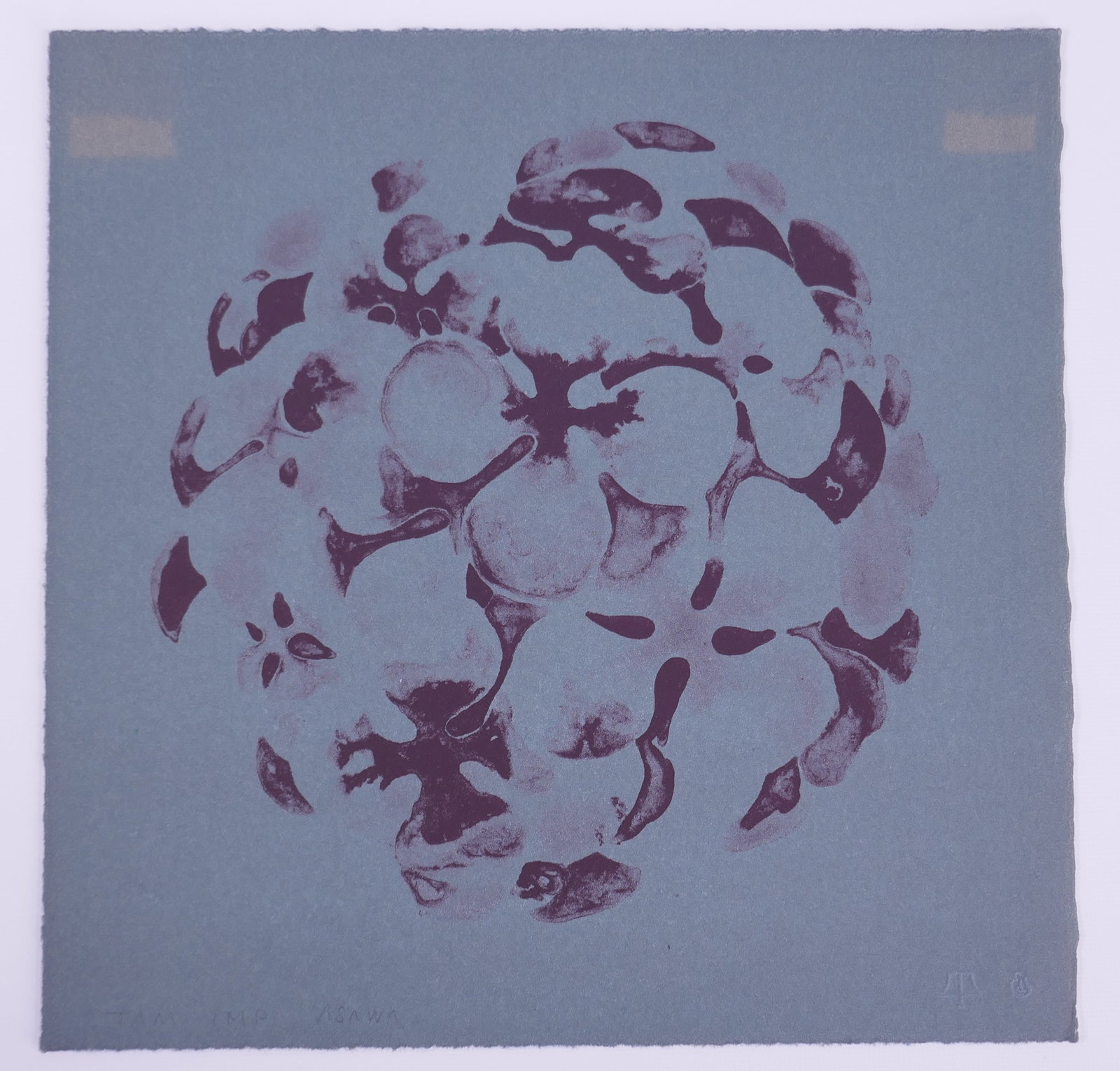 Ruth Asawa (American, 1926–2013), Untitled, Flowers X, 1965, Color Lithograph: Ruth Asawa (American, 1926–2013) was a Japanese American sculptor and printmaker who also became an influential advocate for arts education. After her family was forcibly incarcerated during World W