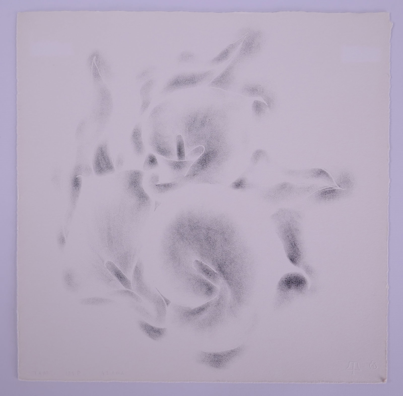 Ruth Asawa (American, 1926–2013), Untitled (Calla Lilies), 1965, Lithograph: Ruth Asawa (American, 1926–2013) was a Japanese American sculptor and printmaker who also became an influential advocate for arts education. After her family was forcibly incarcerated during World W