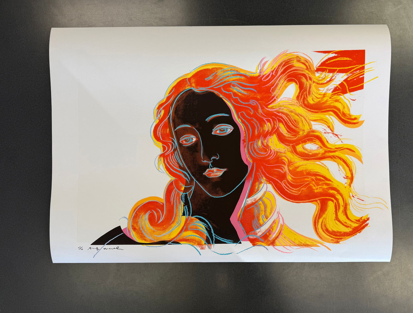 Andy Warhol, "Birth of Venus": Andy Warhol, "Birth of Venus", Print on Arches Aquarelle (Cold Pressed) paper, signed in pencil, numbered 25/100. Measures 32 1/8 X 44 1/8 in.