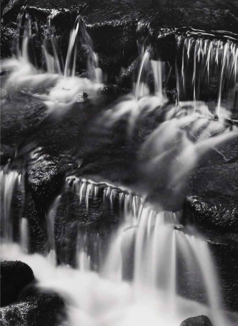Ansel Adams "Fern Spring, Dusk (ca.1961)" Photo Print after (1 of 1)