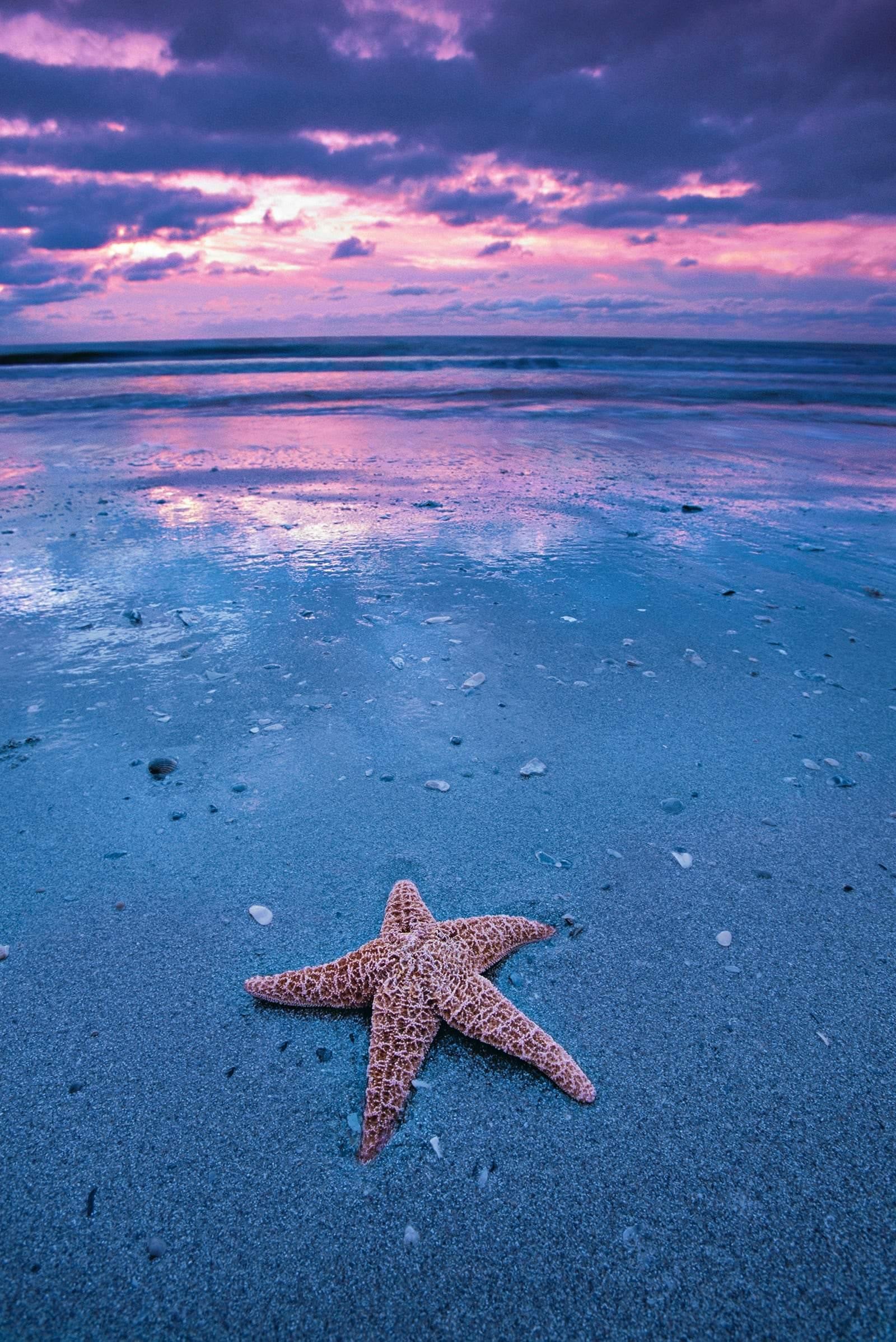 Peter Lik "Atlantic Star" Photo Print after (1 of 1)