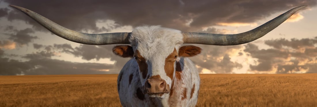Peter Lik "THE SHERIFF" Photo Print after (1 of 1)