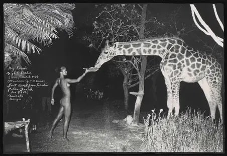 PETER BEARD Hog Ranch night feeder, Maureen G after (1 of 1)