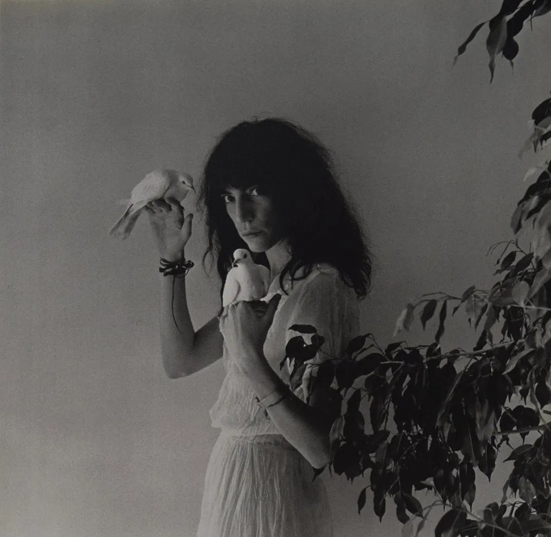 ROBERT MAPPLETHORPE (1946-1989) (1 of 1)