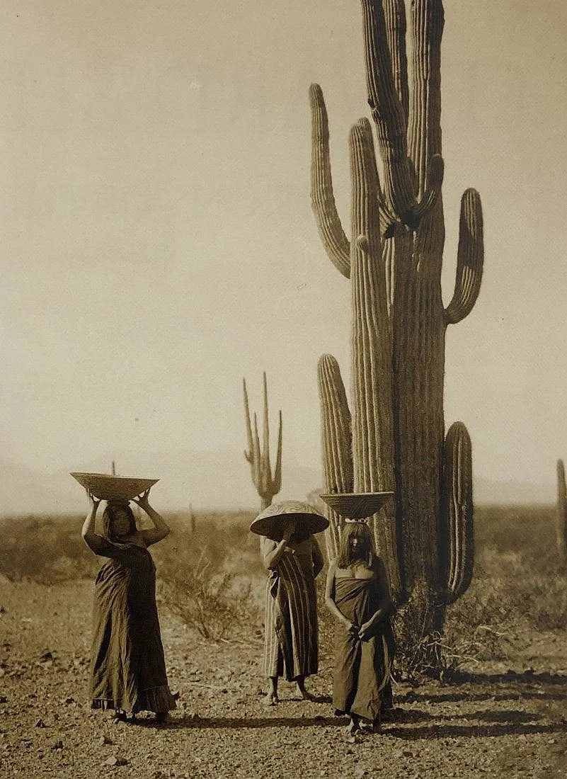 EDWARD WESTON (1886-1958) (1 of 1)