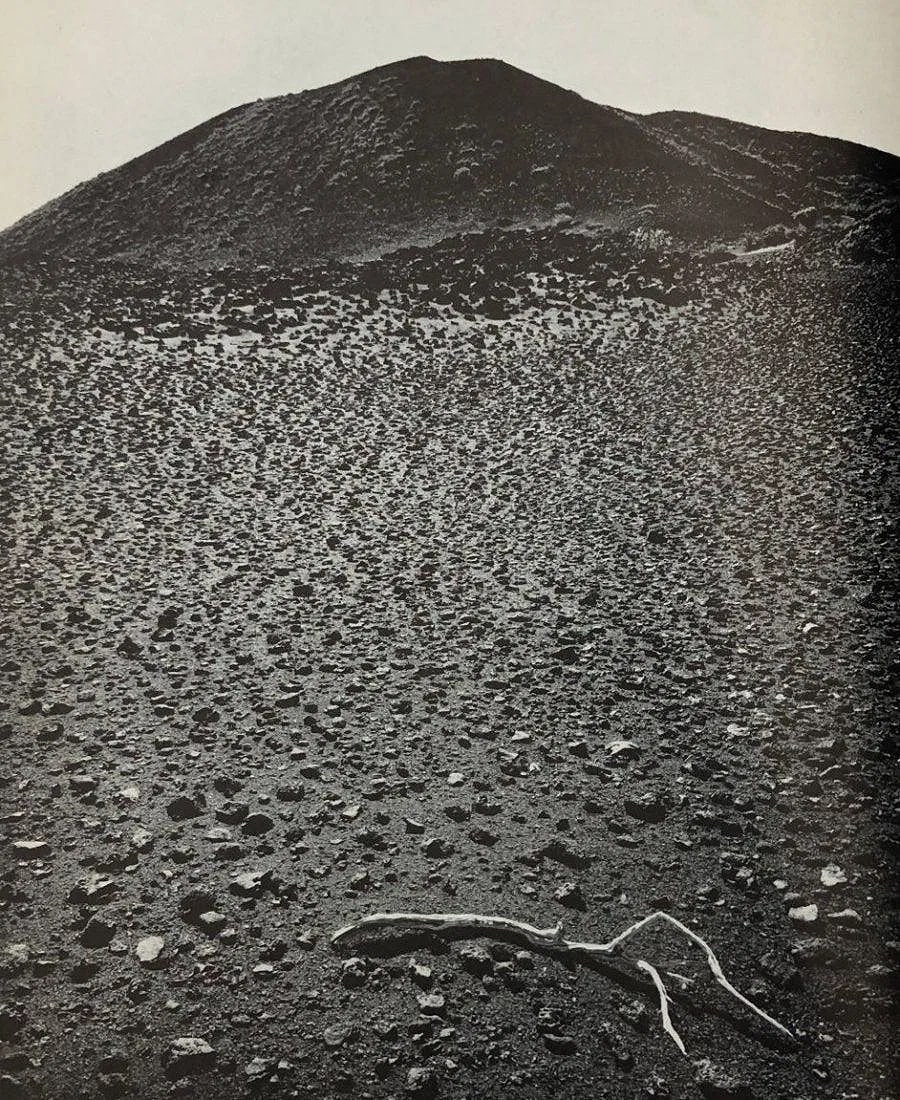 ANSEL ADAMS (B. 1902-1984) (1 of 1)