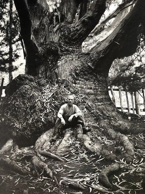 ANSEL ADAMS (B. 1902-1984): Edward Weston, Caramel Highlands, California Printed in colors mounted on archival board 10 1/2" x 8 3/4"
