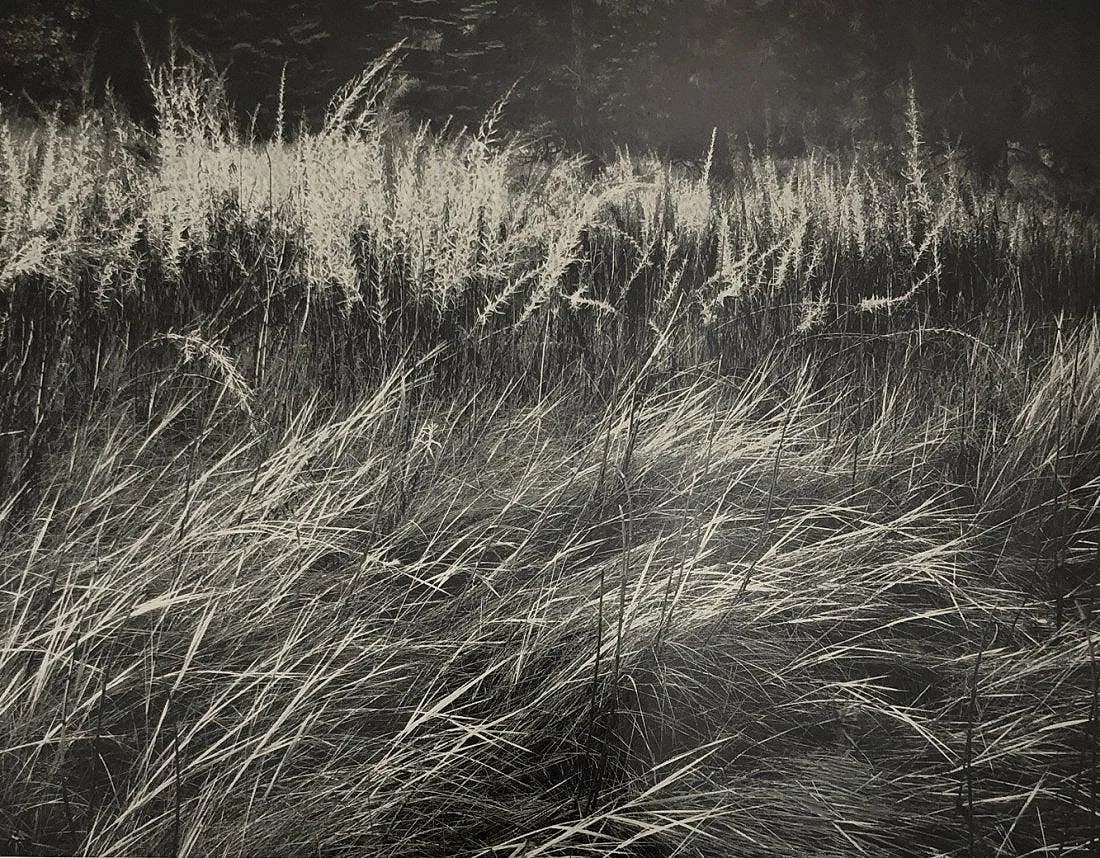 ANSEL ADAMS (B. 1902-1984): Yosemite Meadow Evening Printed in colors mounted on archival board 7 1/3" x 9 1/2"