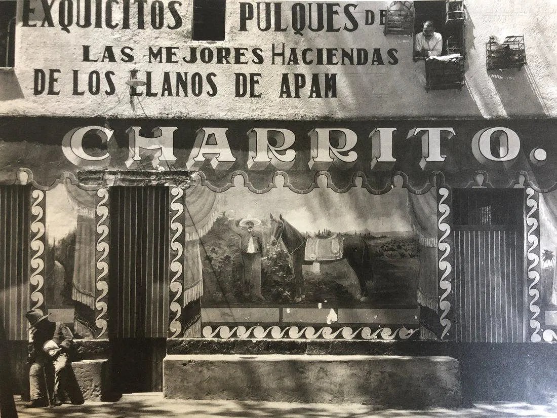 EDWARD WESTON (1886-1958): Charrito (Pulqueria), Mexico, Printed in colors mounted on archival board 7 1/2" x 91/2"
