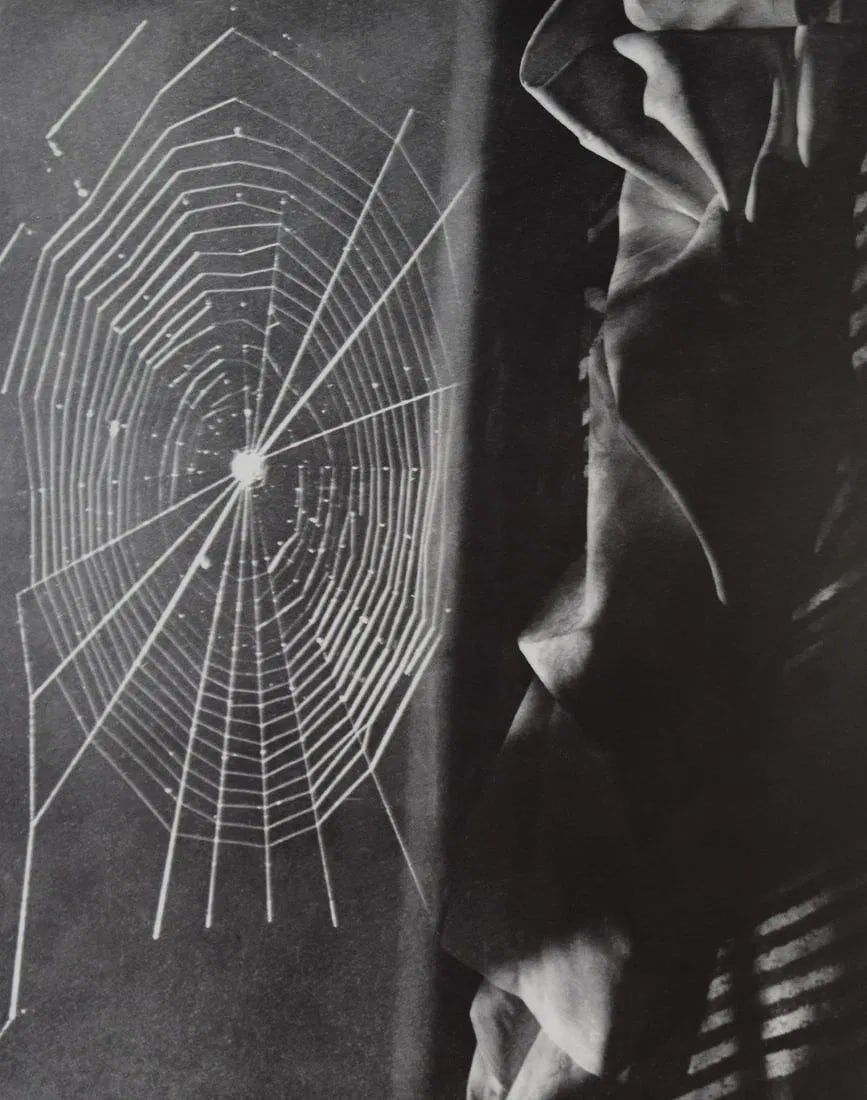 MAN RAY (1890-1976): Composition with Spider-Web, Printed in colors mounted on archival board 10" x 8 1/2"