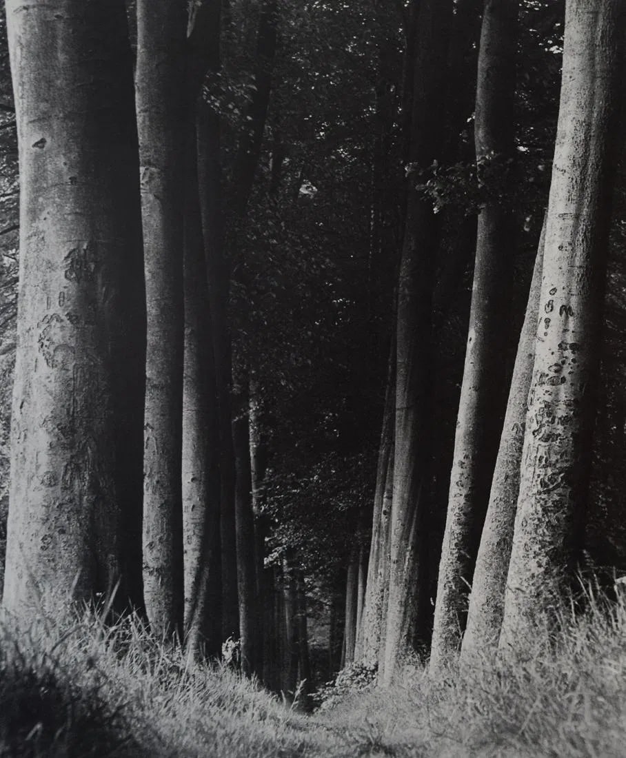 MAN RAY (1890-1976) (1 of 1)