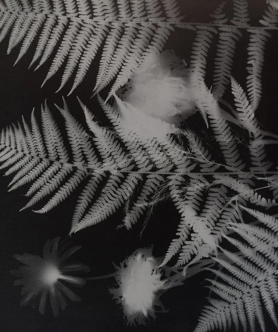 MAN RAY (1890-1976) (1 of 1)