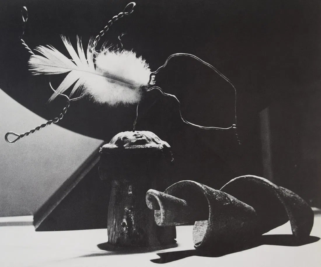 MAN RAY (1890-1976): Origin of Species Printed in colors mounted on archival board 8 3/4" x 10 3/8"