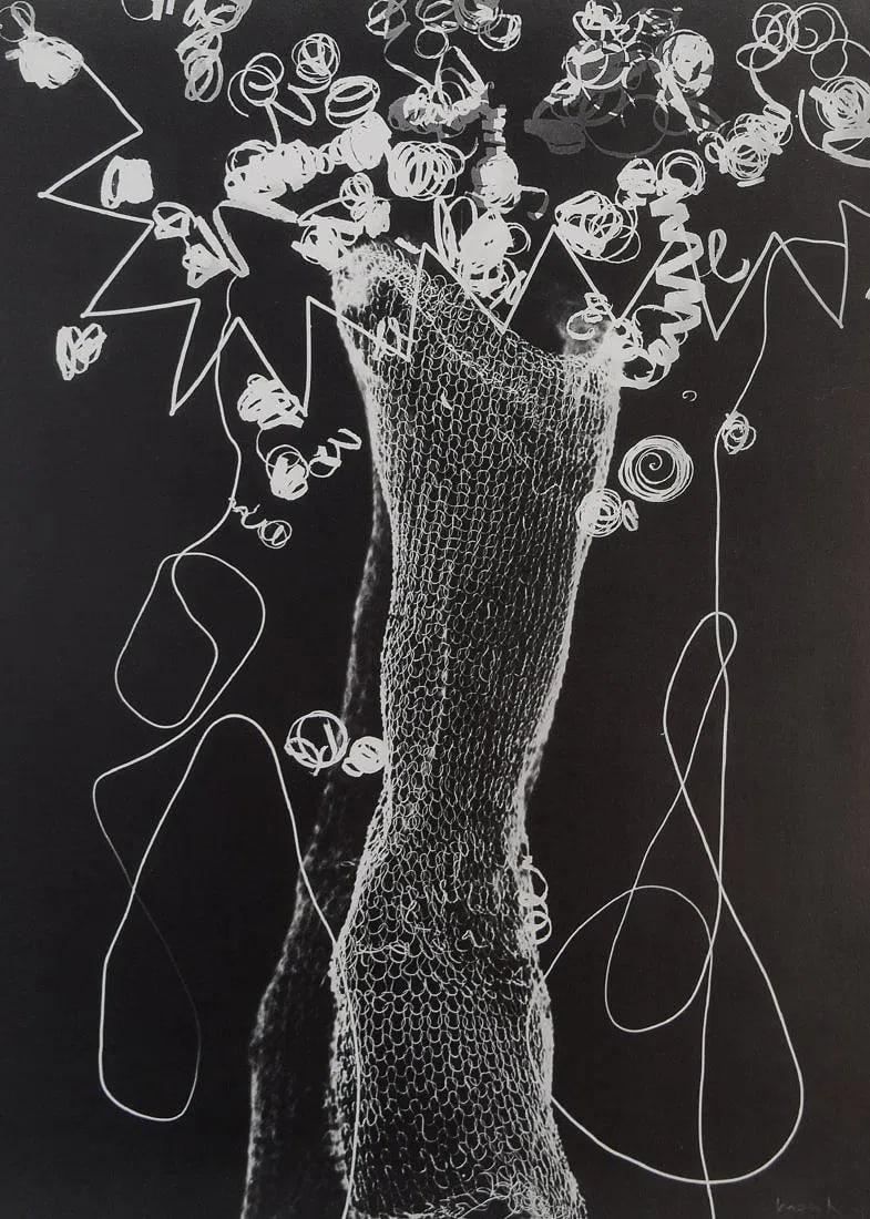 MAN RAY (1890-1976): Rayograph, Printed in colors mounted on archival board 10 3/8" x 8 1/4"
