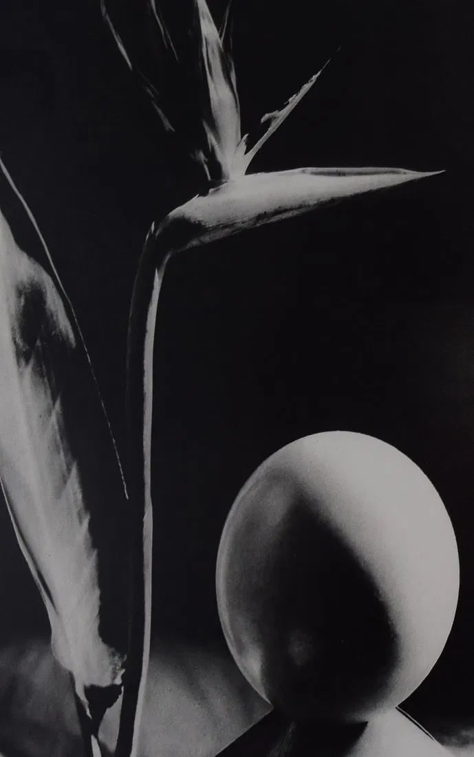 MAN RAY (1890-1976): Untitled, Printed in colors mounted on archival board 10" x 6 3/4"