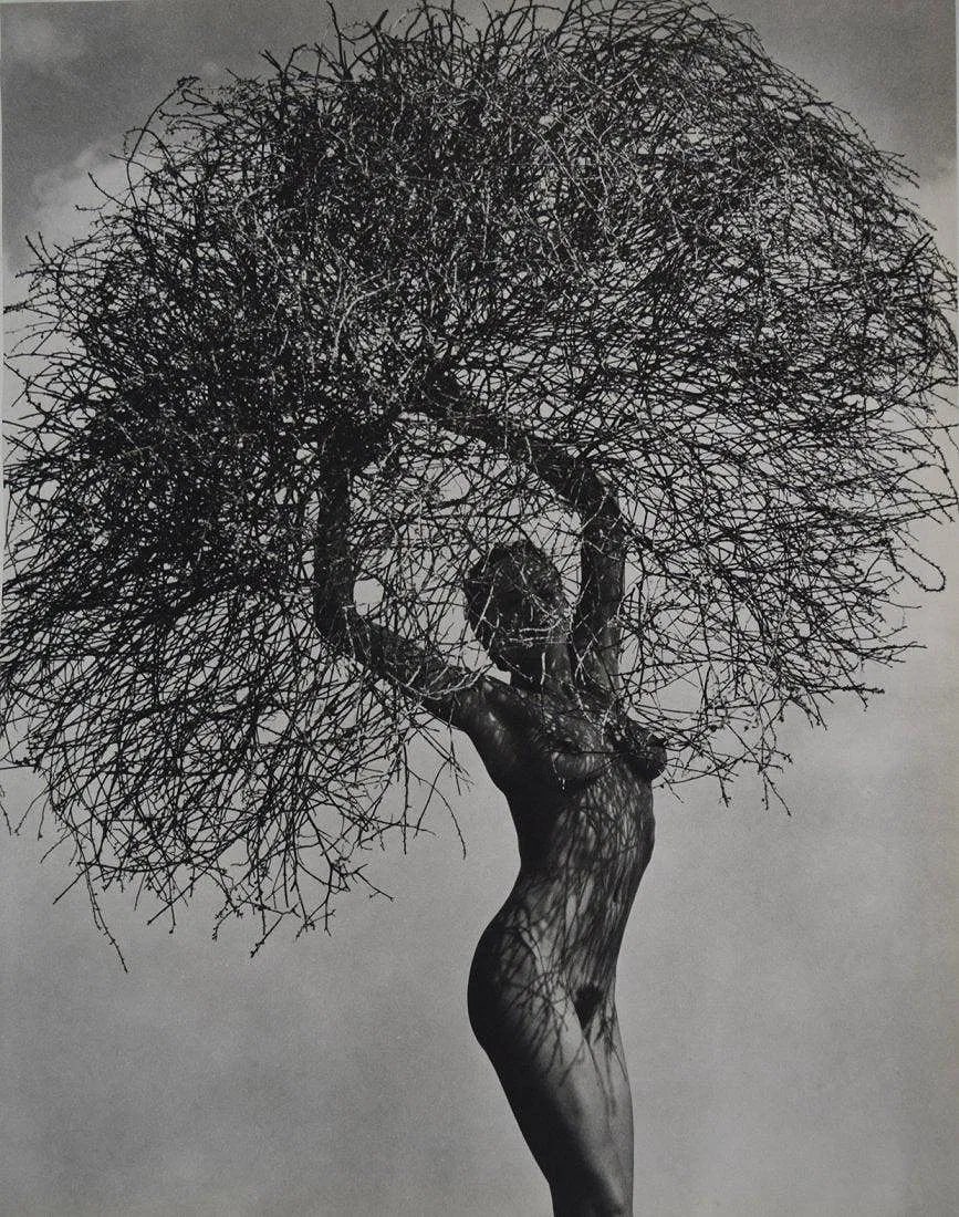 HERB RITTS (1952-2002): Nude , Neith with Tumbleweed, Printed in colors mounted on archival board 14" x 11"