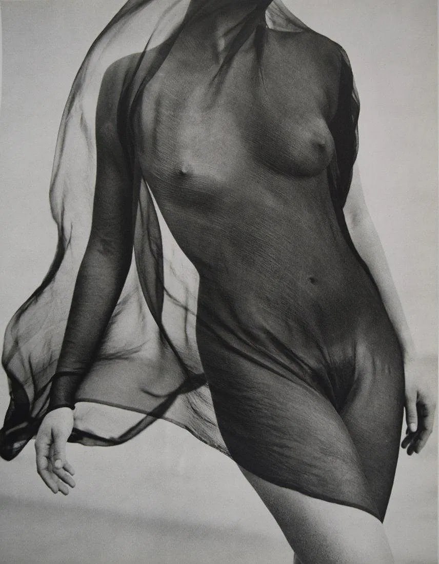 HERB RITTS (1952-2002): Nude , Veiled Torsso, Printed in colors mounted on archival board 14" x 11"